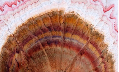  کوه بوکتی که شبیه کیک است! /عکس