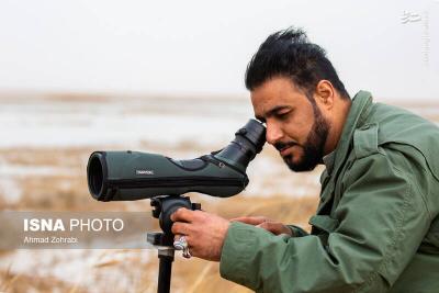 سرشماری پرندگان مهاجر «تالاب مُرِّه» درقم