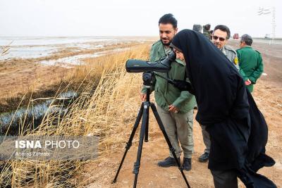 سرشماری پرندگان مهاجر «تالاب مُرِّه» درقم