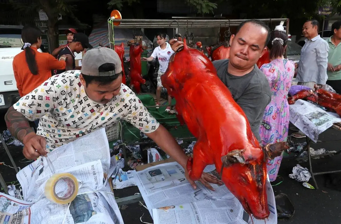 آغاز سال اسب در گوشه‌وکنار آسیا /عکس