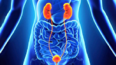 ضرورت مصرف زیاد آب بین افطار تا سحر/ پرهیز از مصرف غذای پر چرب 