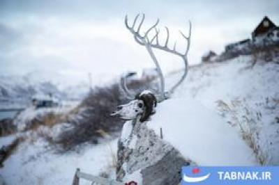  نگهبانانِ یخ؛ زندگی در گرینلند