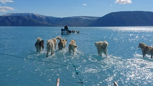  نگهبانانِ یخ؛ زندگی در گرینلند