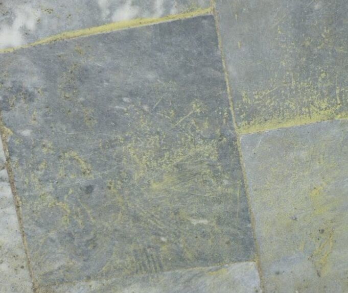 انتشار گرده زرد رنگ در آسمان سوادکوه شمالی و نگرانی مردم؛ ماجرا چیست؟+عکس