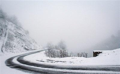 عکس/ بارش زیبای برف در رودسر 