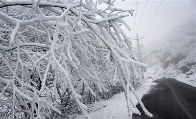 عکس/ بارش زیبای برف در رودسر 