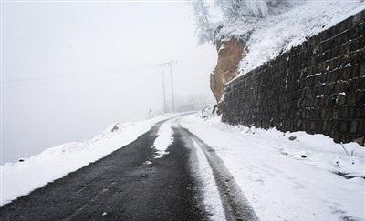 عکس/ بارش زیبای برف در رودسر 