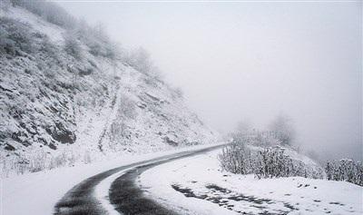 عکس/ بارش زیبای برف در رودسر 