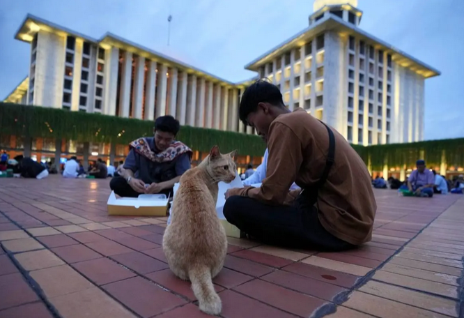 ماه مبارک رمضان در سراسر جهان /عکس