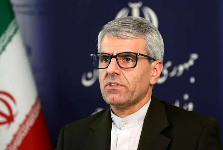  واکنش بقایی به اظهارات اخیر سفیر آمریکا در تل‌آویو 