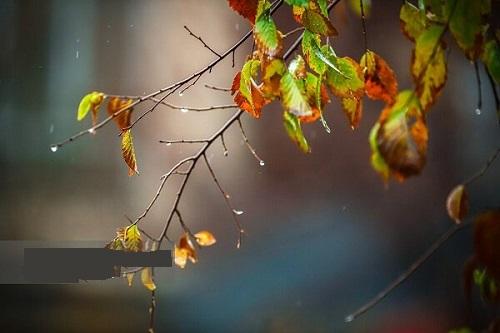 کاهش دما در راه است؛پیش بینی بارش های رگباری در خراسان رضوی