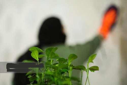 ترکیب مرگبار مواد شوینده در خانه‌تکانی