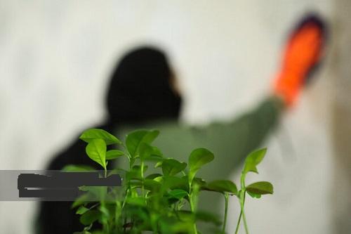ترکیب مرگبار مواد شوینده در خانه‌تکانی