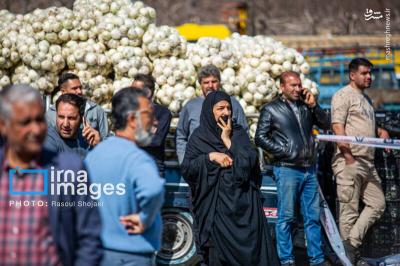 تصاویرسقوط بالگردارتش