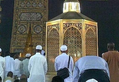 جا خوش کردن زنبورهای عسل روی مقام ابراهیم /فیلم
