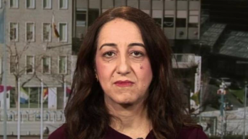 فرناز فصیحی زن ایرانی‌تبار خودِ فریب است +عکس