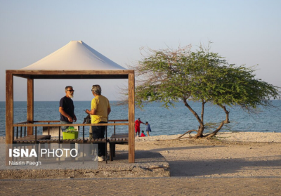 جزیره‌ای که زمستان ندارد / عکس