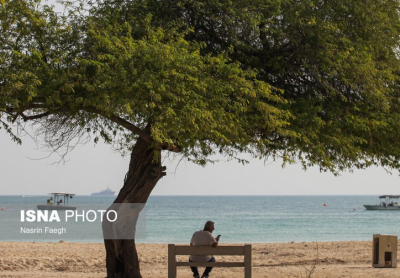 جزیره‌ای که زمستان ندارد / عکس