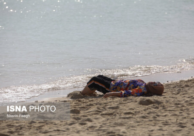 جزیره‌ای که زمستان ندارد / عکس