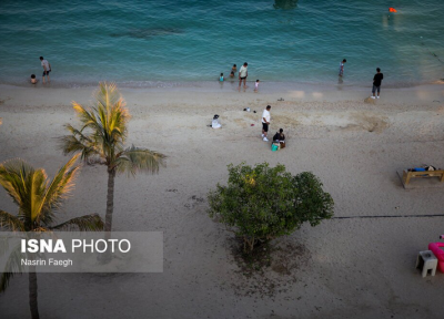 جزیره‌ای که زمستان ندارد / عکس