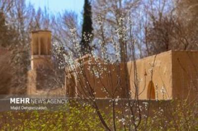 بهار زودرس در باغ‌شهر تاریخی مهریز