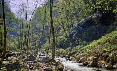 مقصدی رویایی برای طبیعت‌گردان / عکس