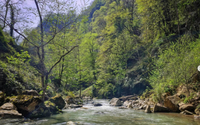 مقصدی رویایی برای طبیعت‌گردان / عکس