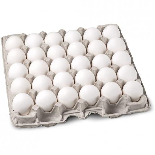 کاهش قیمت تخم مرغ دربازار