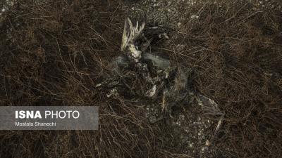 خلیج گرگان  و عقب‌نشینی دریا