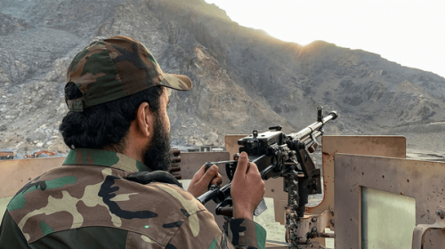 ۲۷۴ نفر از طالبان را از پا درآوردیم