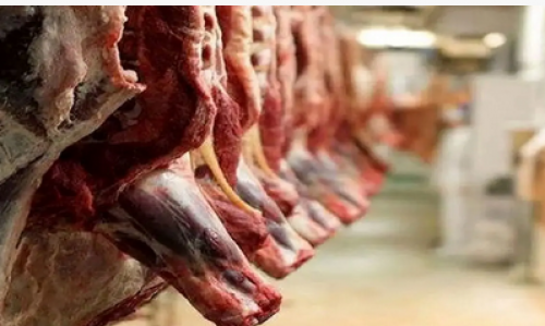 قیمت جدید گوشت قرمز 