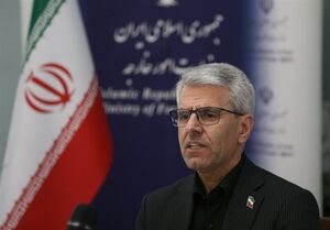بقائی: ایران خودش را نگهدار تنگه هرمز می‌داند