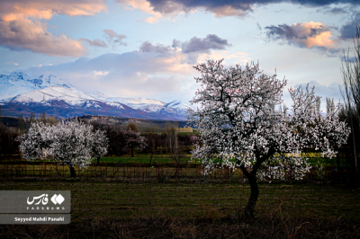 نفس‌های تازه بهار در اردبیل