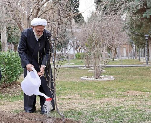  حجت‌الاسلام والمسلمین محسنی اژه‌ای، یک اصله نهال غرس کرد