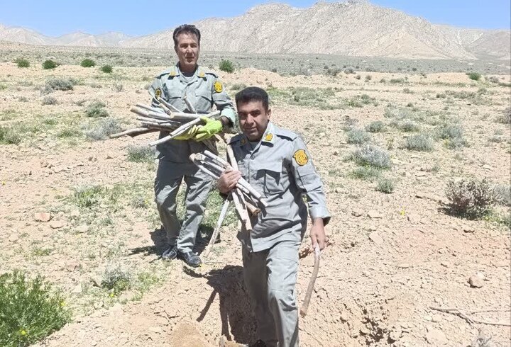 رفع تصرف ۵ هکتار از پناهگاه حیات وحش بختگان 
