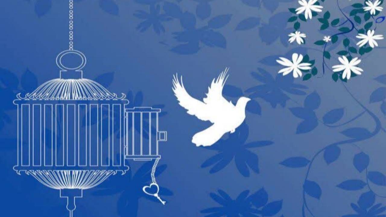 کمک بانوی سنندجی به ۲۵ نفر از زندانیان مالی غیرعمد 
