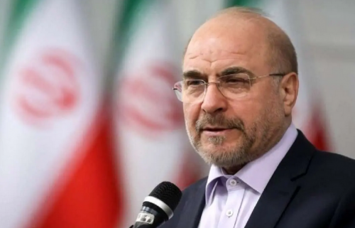  ارتش، نماد اقتدار، امنیت و مرزبانی از ایران عزیز است 