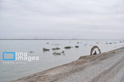 افزایش ورود آب به سیستان