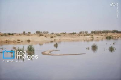 افزایش ورود آب به سیستان
