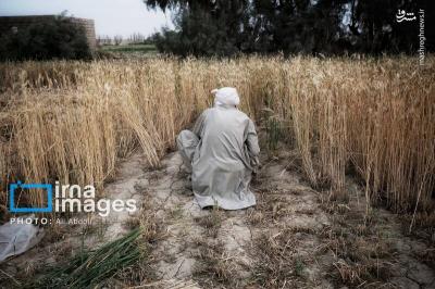افزایش ورود آب به سیستان