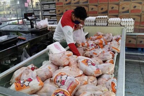  قیمت مرغ تا پایان اردیبهشت نوسانی ندارد 