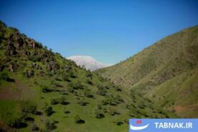 بهار در دامنه کوه شاهو 