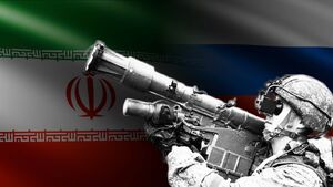 ترکیب مرگبار "ایگلا و وربا" در انتظار پرنده‌های متجاوز +فیلم و عکس