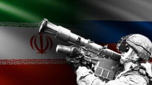 ترکیب مرگبار "ایگلا و وربا" در انتظار پرنده‌های متجاوز +فیلم و عکس