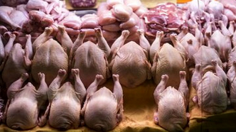 قیمت مرغ و تخم‌مرغ امروز یکشنبه ۶ اردیبهشت
