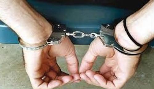دستگیری وطن‌فروش سلطنت‌طلب در شهرری