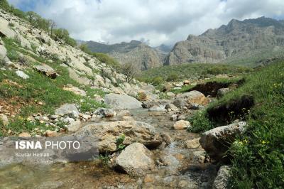 طبیعت بهاری آبشار «چالابه»