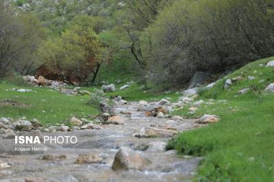 طبیعت بهاری آبشار «چالابه»
