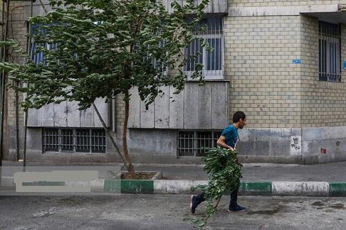 سرعت وزش باد در تهران به ۹۰ کیلومتر بر ساعت رسید