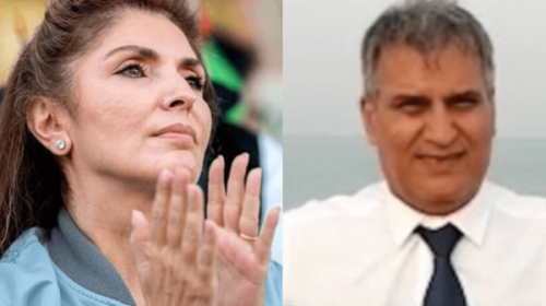 پاچه‌ورمالیدگی یاسمین پهلوی علیه طرفداران شوهرش +عکس